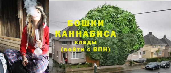 spice Верея