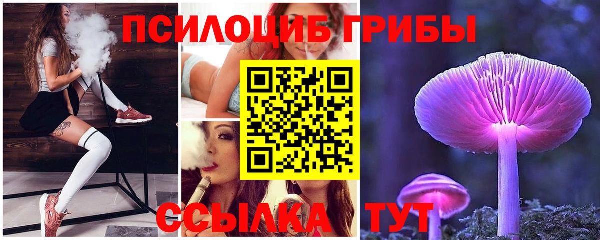 Славянск-на-Кубани  Галлюциногенные грибы Cubensis  Вход с VPN 